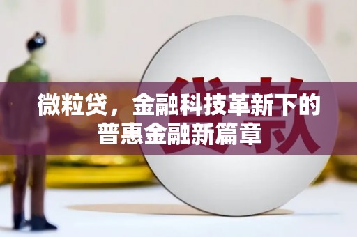 兰屿微粒贷，金融科技革新下的普惠金融新篇章