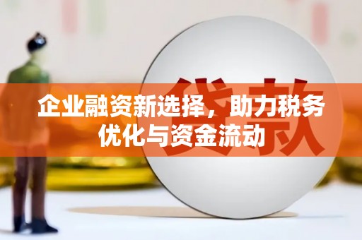 兰屿企业融资新选择，助力税务优化与资金流动