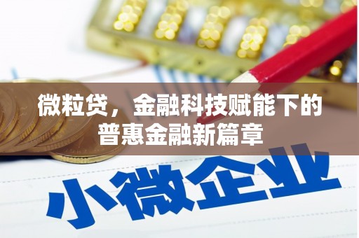 兰屿微粒贷，金融科技赋能下的普惠金融新篇章