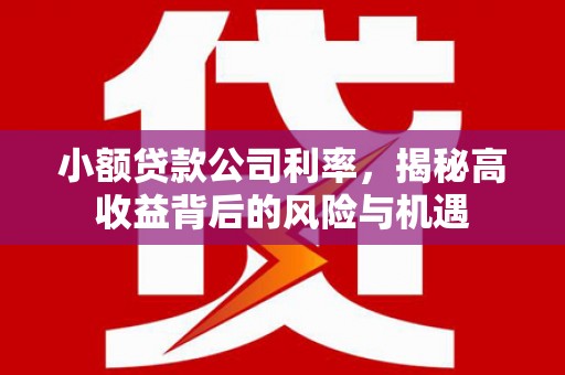 兰屿小额贷款公司利率，揭秘高收益背后的风险与机遇