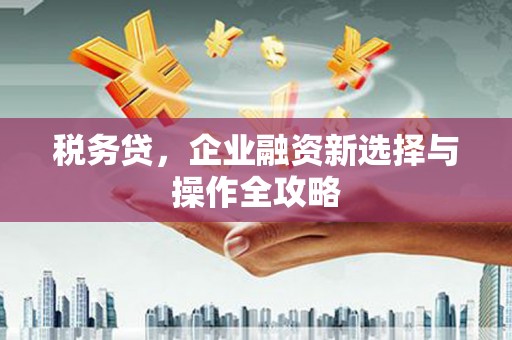 兰屿税务贷，企业融资新选择与操作全攻略