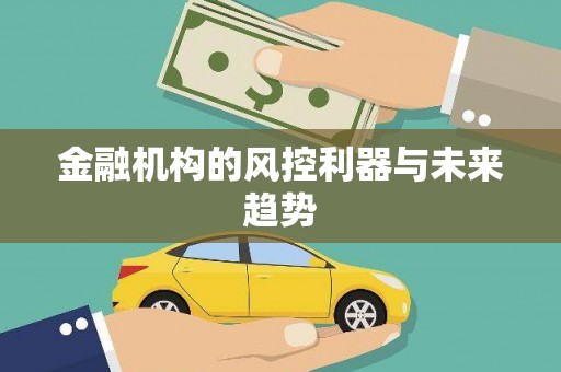 兰屿金融机构的风控利器与未来趋势
