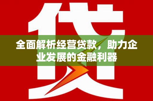兰屿全面解析经营贷款，助力企业发展的金融利器