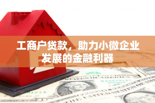 兰屿工商户贷款，助力小微企业发展的金融利器