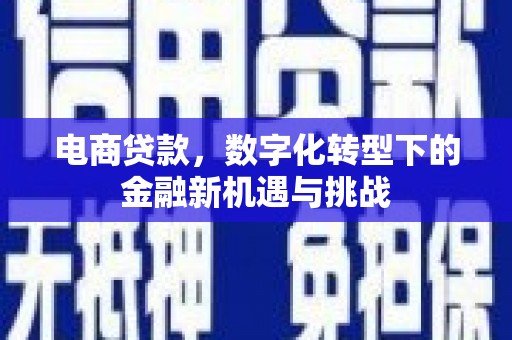 兰屿电商贷款，数字化转型下的金融新机遇与挑战