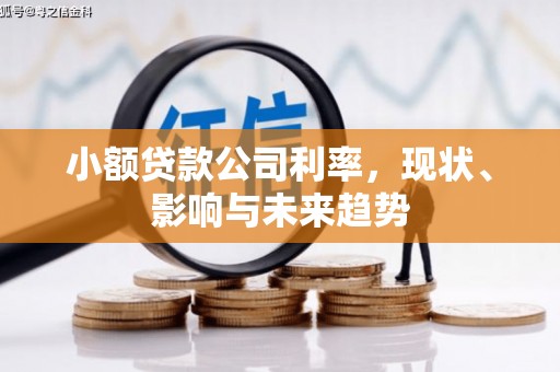 兰屿小额贷款公司利率，现状、影响与未来趋势