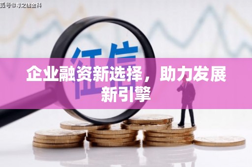 兰屿企业融资新选择，助力发展新引擎