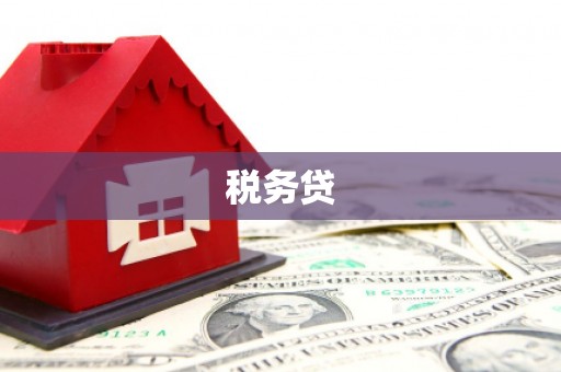 兰屿税务贷