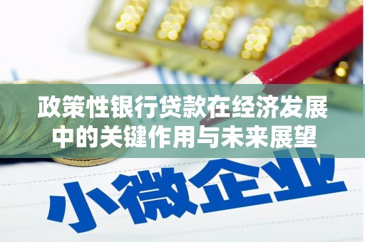 兰屿政策性银行贷款在经济发展中的关键作用与未来展望