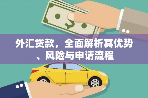 兰屿外汇贷款，全面解析其优势、风险与申请流程