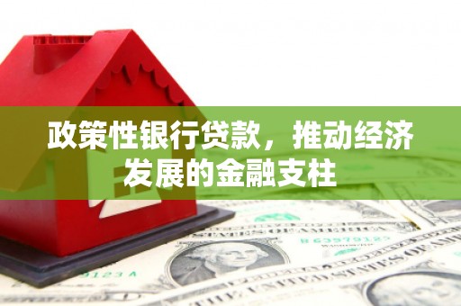 兰屿政策性银行贷款，推动经济发展的金融支柱