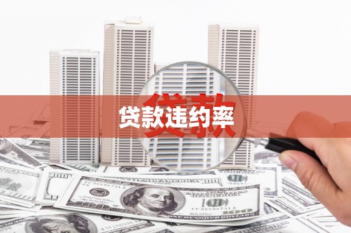 兰屿贷款违约率