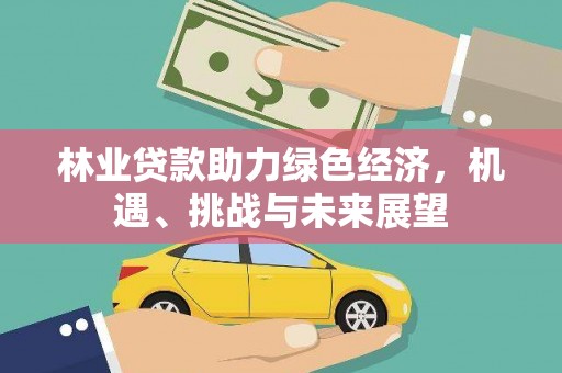 兰屿林业贷款助力绿色经济，机遇、挑战与未来展望
