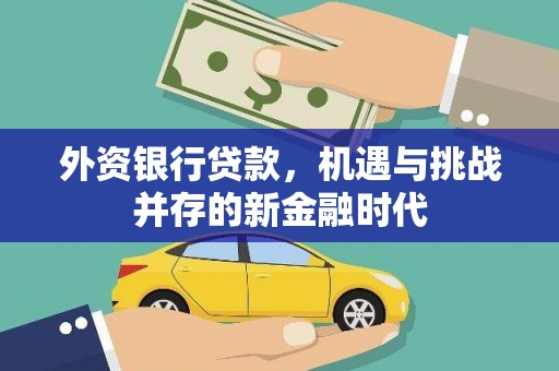 兰屿外资银行贷款，机遇与挑战并存的新金融时代