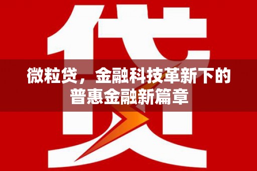 兰屿微粒贷，金融科技革新下的普惠金融新篇章