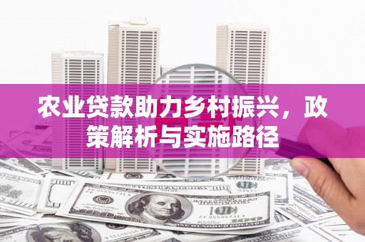 兰屿农业贷款助力乡村振兴，政策解析与实施路径