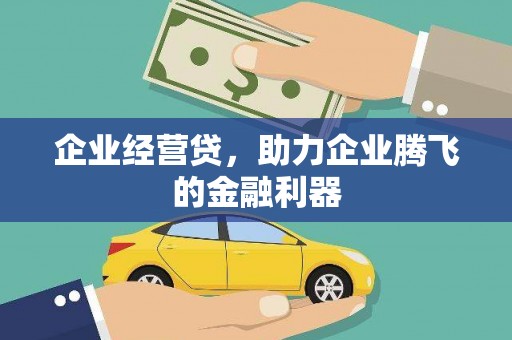 兰屿企业经营贷，助力企业腾飞的金融利器
