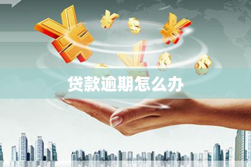 兰屿贷款逾期怎么办