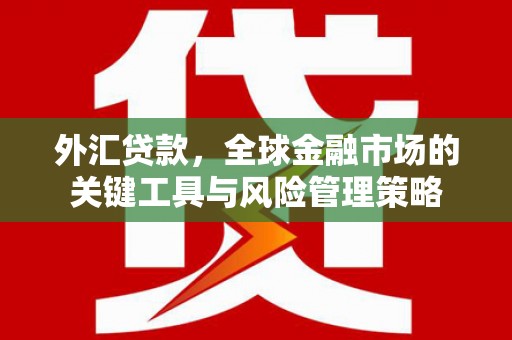 兰屿外汇贷款，全球金融市场的关键工具与风险管理策略