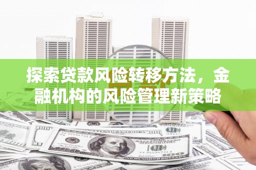 兰屿探索贷款风险转移方法，金融机构的风险管理新策略