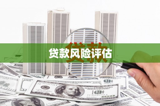 兰屿贷款风险评估