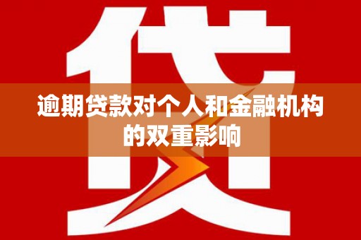 兰屿逾期贷款对个人和金融机构的双重影响