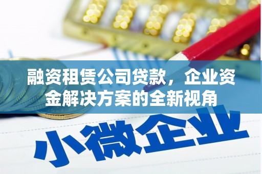兰屿融资租赁公司贷款，企业资金解决方案的全新视角