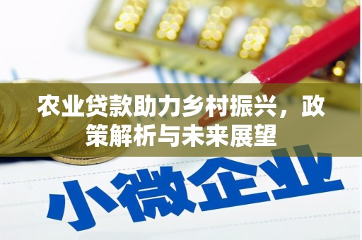 兰屿农业贷款助力乡村振兴，政策解析与未来展望