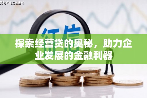 兰屿探索经营贷的奥秘，助力企业发展的金融利器