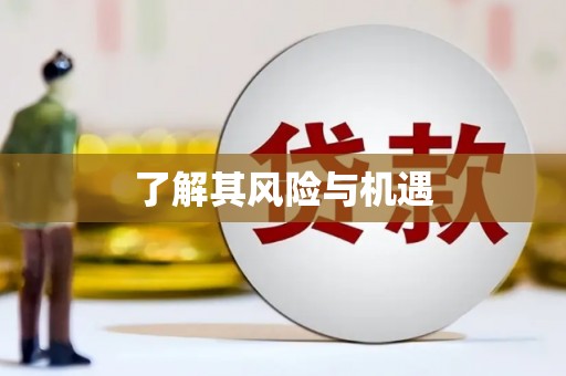 兰屿了解其风险与机遇