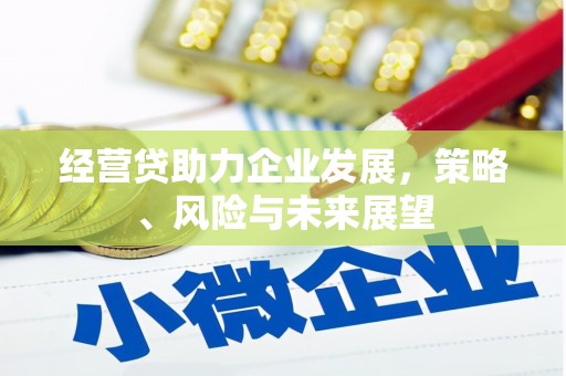 兰屿经营贷助力企业发展，策略、风险与未来展望