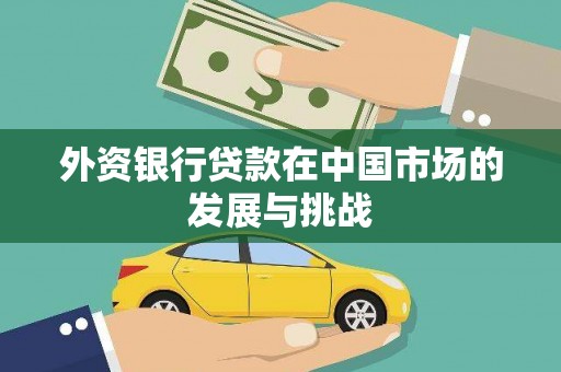 兰屿外资银行贷款在中国市场的发展与挑战