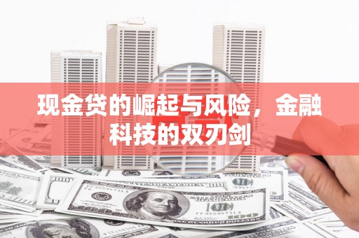 兰屿现金贷的崛起与风险，金融科技的双刃剑