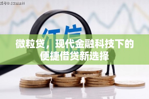兰屿微粒贷，现代金融科技下的便捷借贷新选择