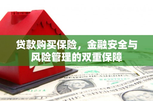 兰屿贷款购买保险，金融安全与风险管理的双重保障