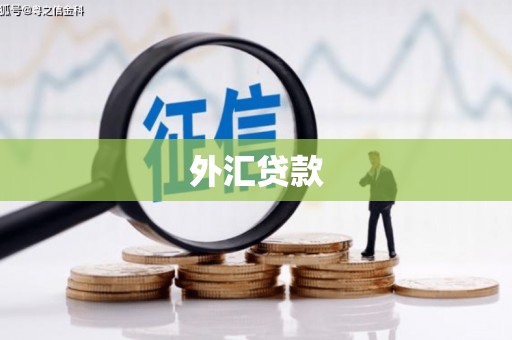 兰屿外汇贷款