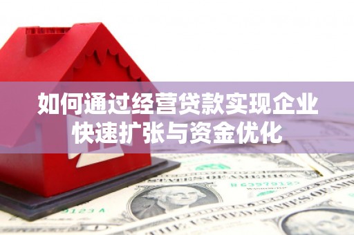 兰屿如何通过经营贷款实现企业快速扩张与资金优化