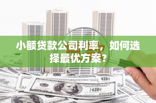 兰屿小额贷款公司利率，如何选择最优方案？