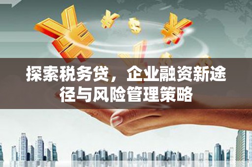 兰屿探索税务贷，企业融资新途径与风险管理策略
