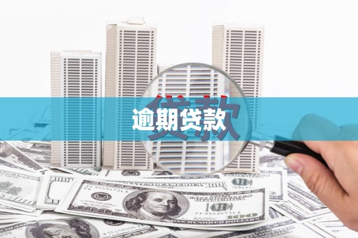 兰屿逾期贷款