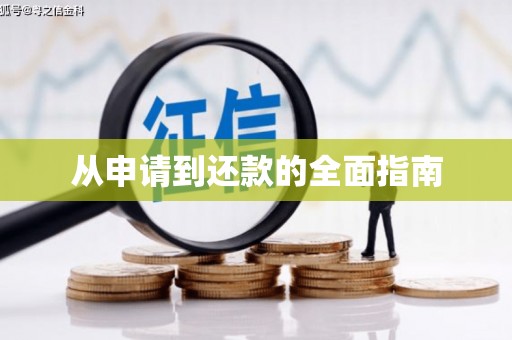 兰屿从申请到还款的全面指南