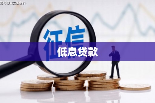 兰屿低息贷款