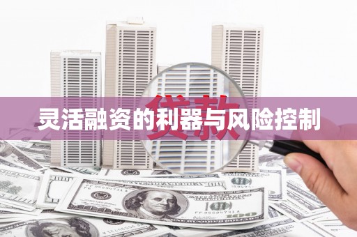 兰屿灵活融资的利器与风险控制
