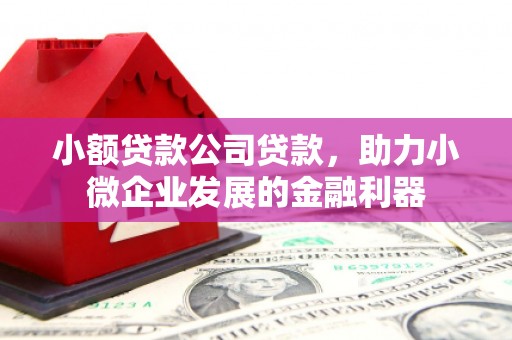 兰屿小额贷款公司贷款，助力小微企业发展的金融利器
