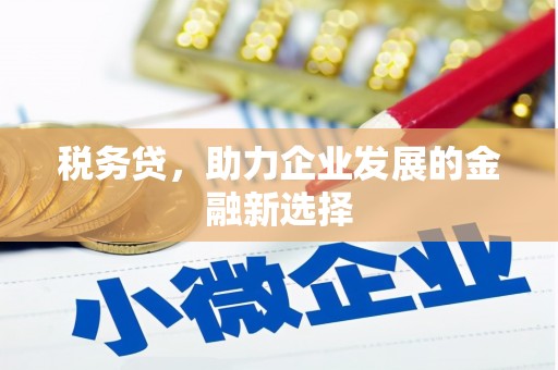 兰屿税务贷，助力企业发展的金融新选择