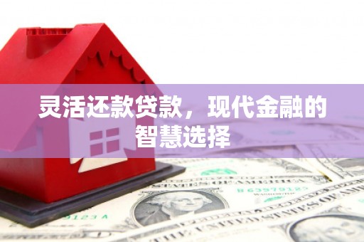 兰屿灵活还款贷款，现代金融的智慧选择