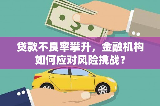 兰屿贷款不良率攀升，金融机构如何应对风险挑战？