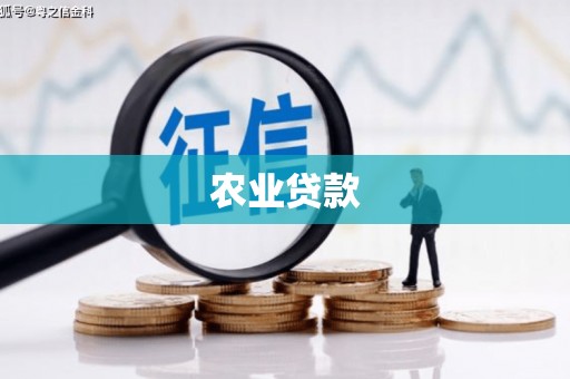 兰屿农业贷款