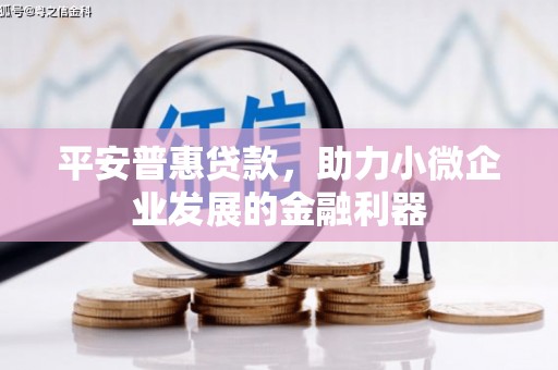 兰屿平安普惠贷款，助力小微企业发展的金融利器