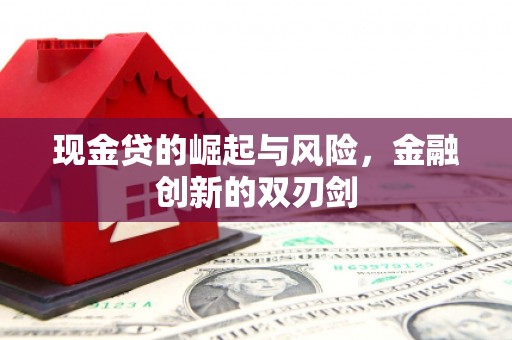 兰屿现金贷的崛起与风险，金融创新的双刃剑